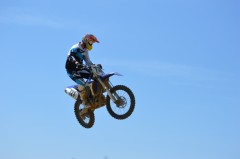 Thumbs/tn_223.jpg