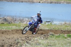 Thumbs/tn_493.jpg