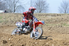 Thumbs/tn_549.jpg