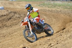 Thumbs/tn_660.jpg