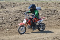 Thumbs/tn_702.jpg