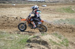 Thumbs/tn_707.jpg