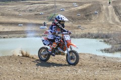 Thumbs/tn_709.jpg