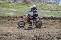 Thumbs/tn_719.jpg