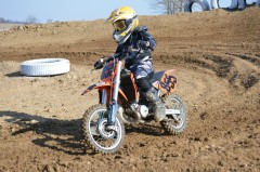 Thumbs/tn_930.jpg