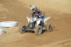 Thumbs/tn_989.jpg