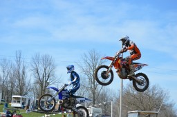 Thumbs/tn_073.jpg