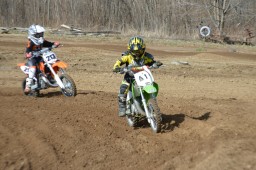 Thumbs/tn_097.jpg