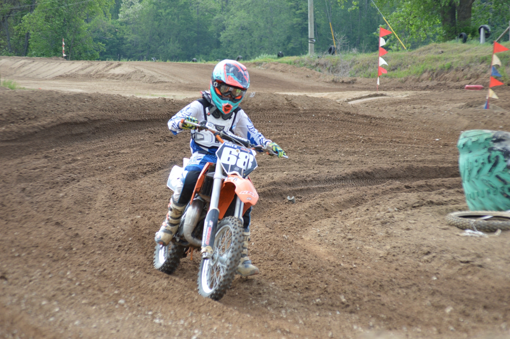 ../Images/2481.jpg