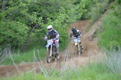 Thumbs/tn_1600.jpg