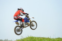 Thumbs/tn_276.jpg