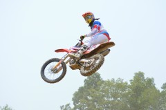 Thumbs/tn_406.jpg